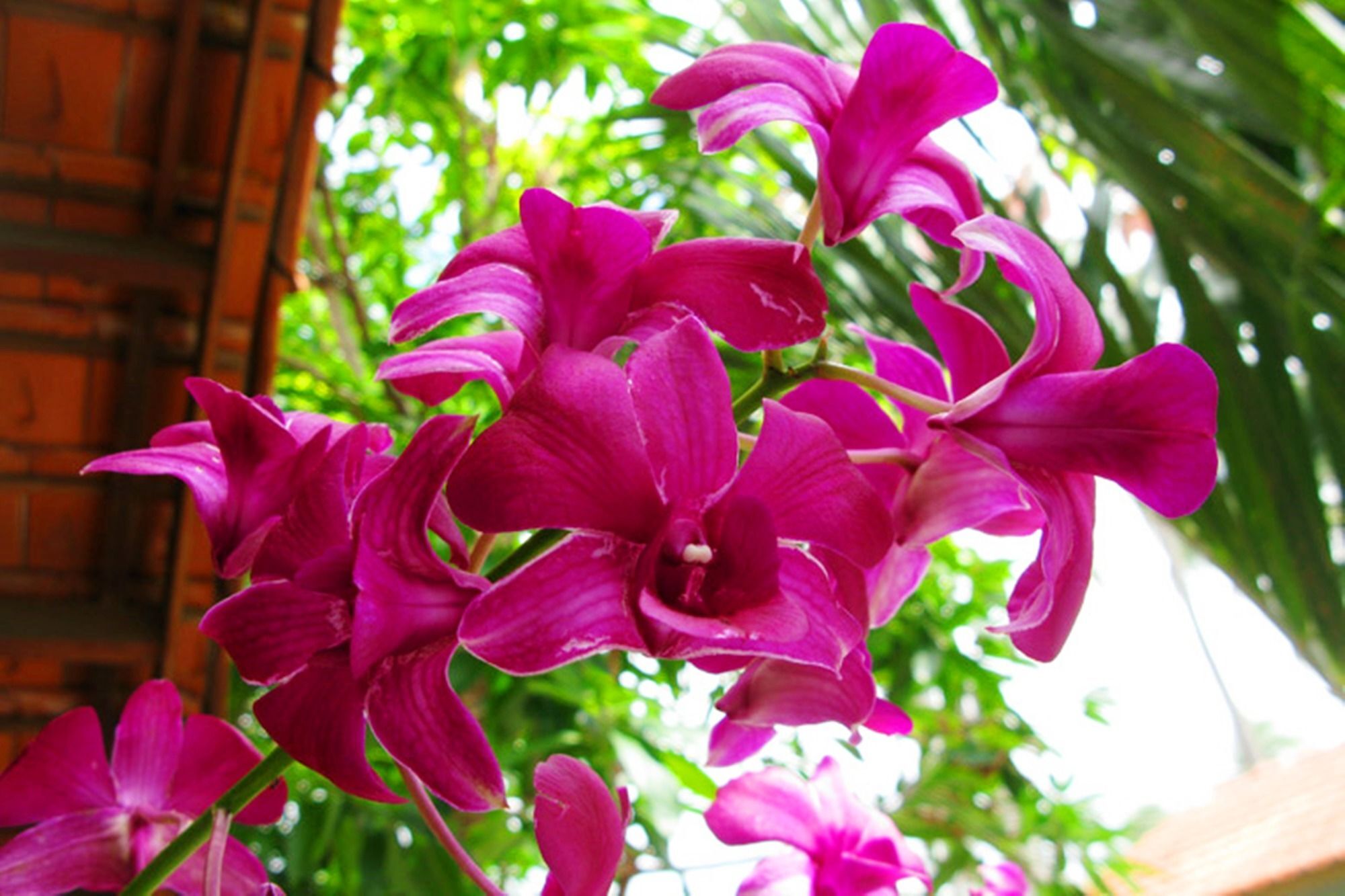Hiep Hoa Resort Mũi Né Extérieur photo